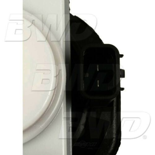 Bote de vapor BWD CP1376