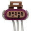 Conector de bobina de encendido BWD PT1033