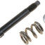 Dorman 03110 Exhaust Manifold Bolt and Spring
