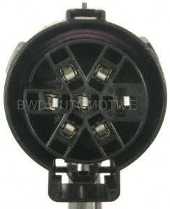 Conector del mazo de cables del cuerpo BWD PT843