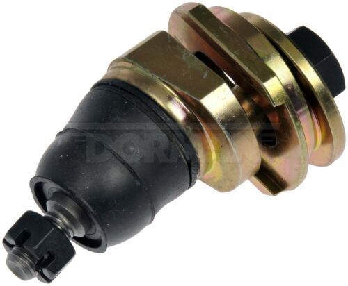 Dorman BJ581036PR Alignment Caster / Camber Ball Joint