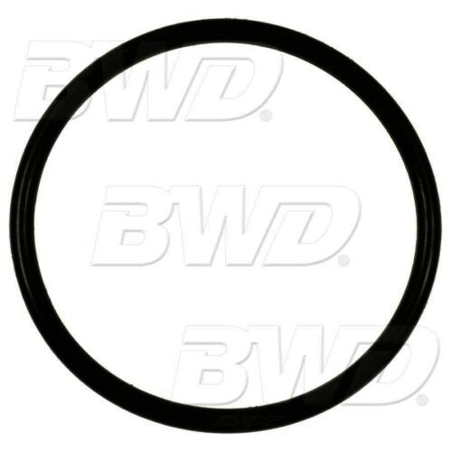 BWD RGD12 Fuel Pump O-Ring