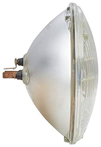 Philips H6024C1 Bombilla para faros delanteros