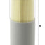 MANN-FILTER C 12 003 Air Filter