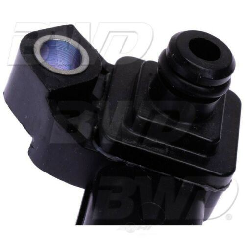 BWD EC1818