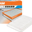 Fram CA10171 Air Filter