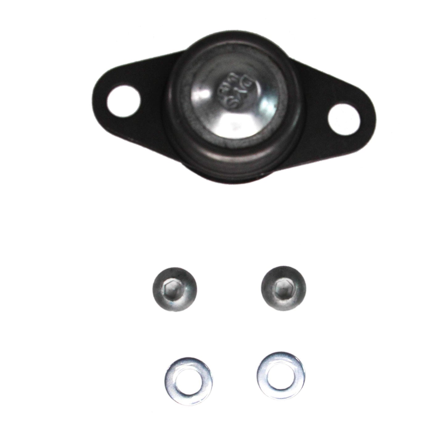 REIN SCB0097P