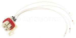 Conector de interruptor de seguridad neutro BWD PT5684