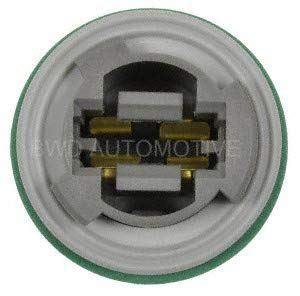 BWD PT5741 Back Up Light Socket