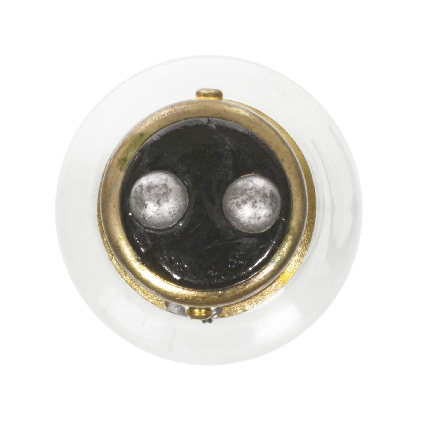 Wagner BP1157 Tail Light Bulb