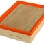 Fram CA5350 Air Filter