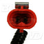 BWD CPV82