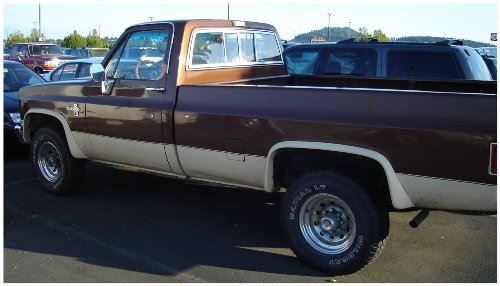 Bushwacker 4090001