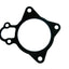 Saleri PA1400 Engine Water Pump