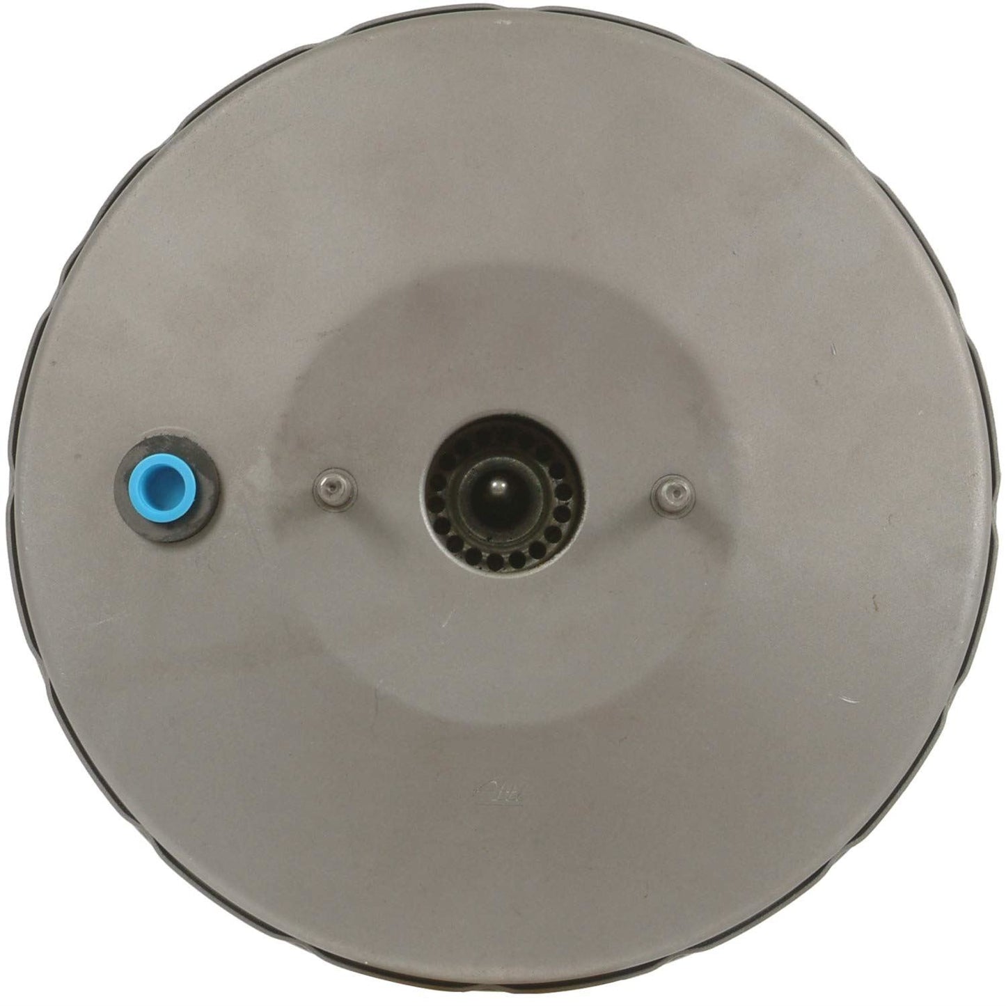 CARDÓN 5472019