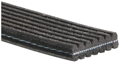 ACDelco Professional 7DK536 Courroie serpentine
