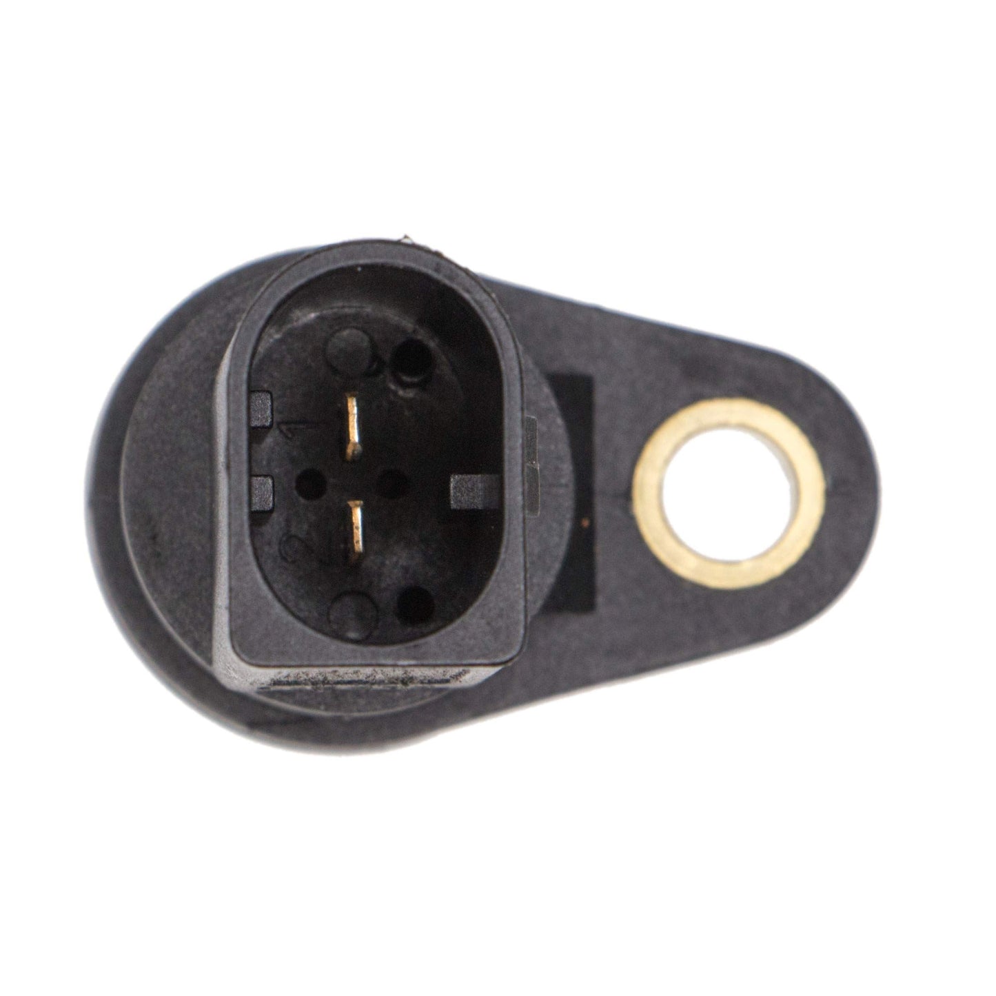 REIN ELC0278