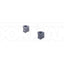 Dorman BSK50539PR Kit de bagues de barre stabilisatrice de suspension