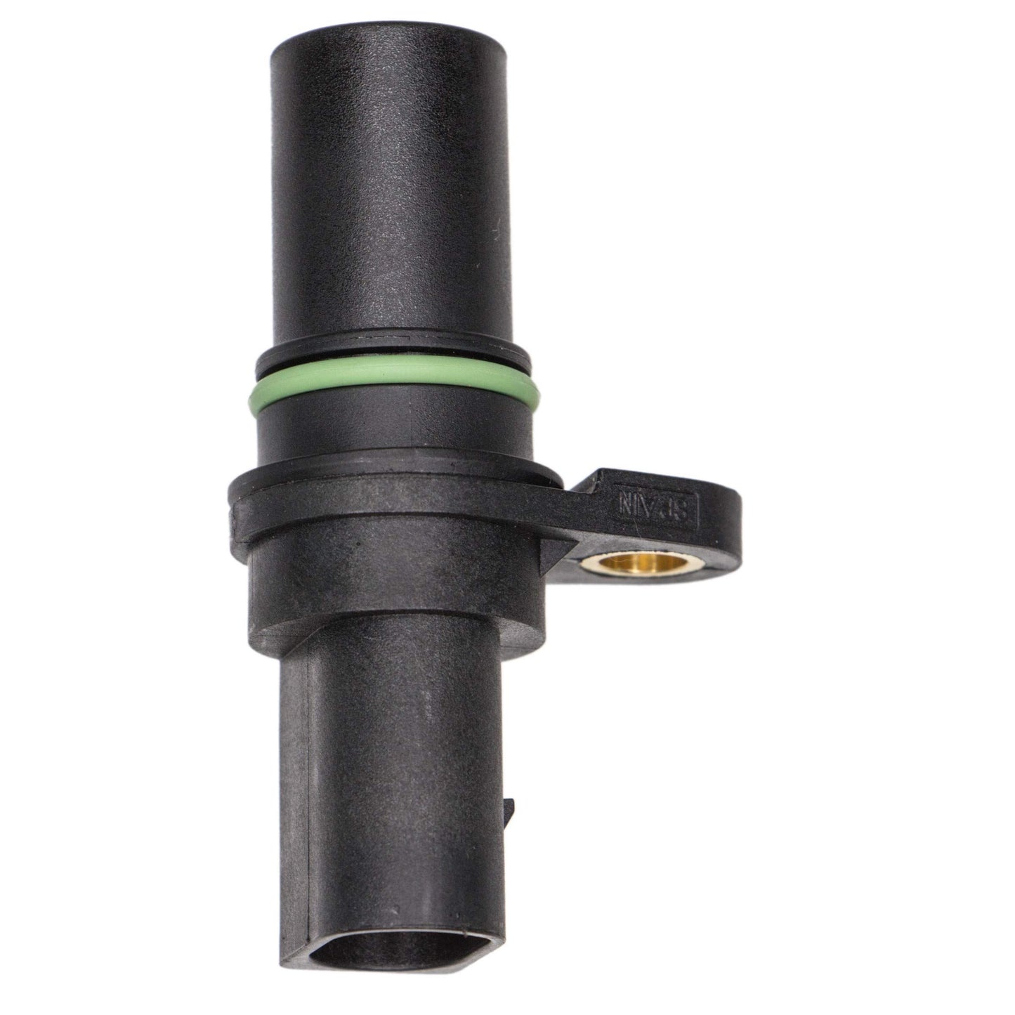 REIN ELC0278
