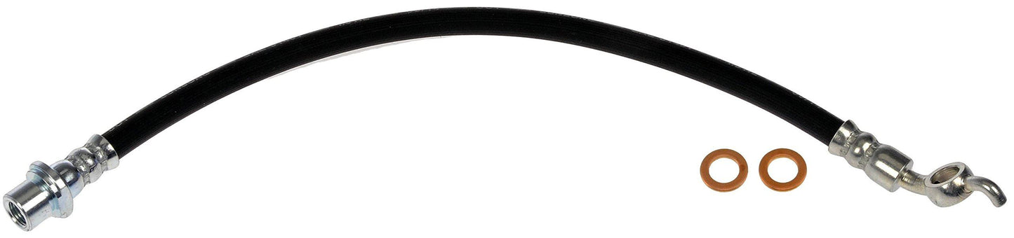 DormanH622026