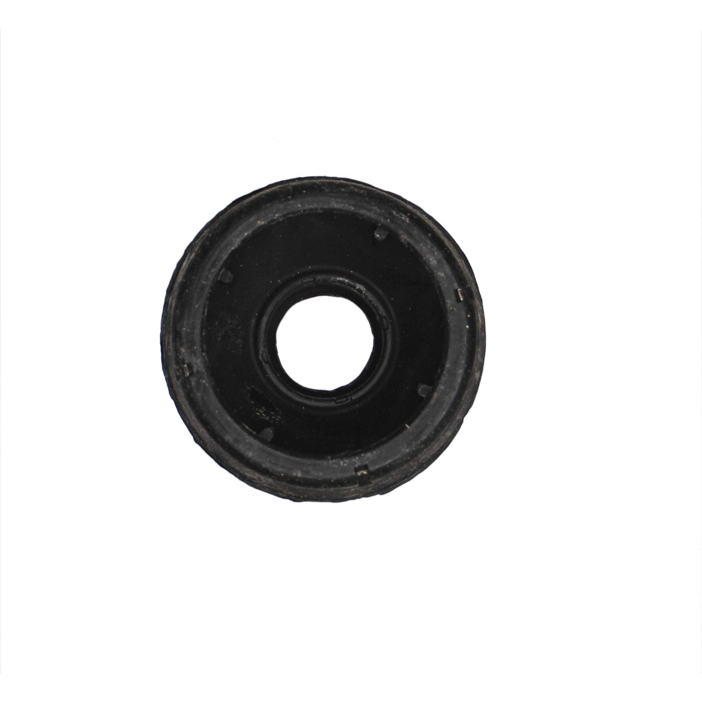 REIN AVQ0148P