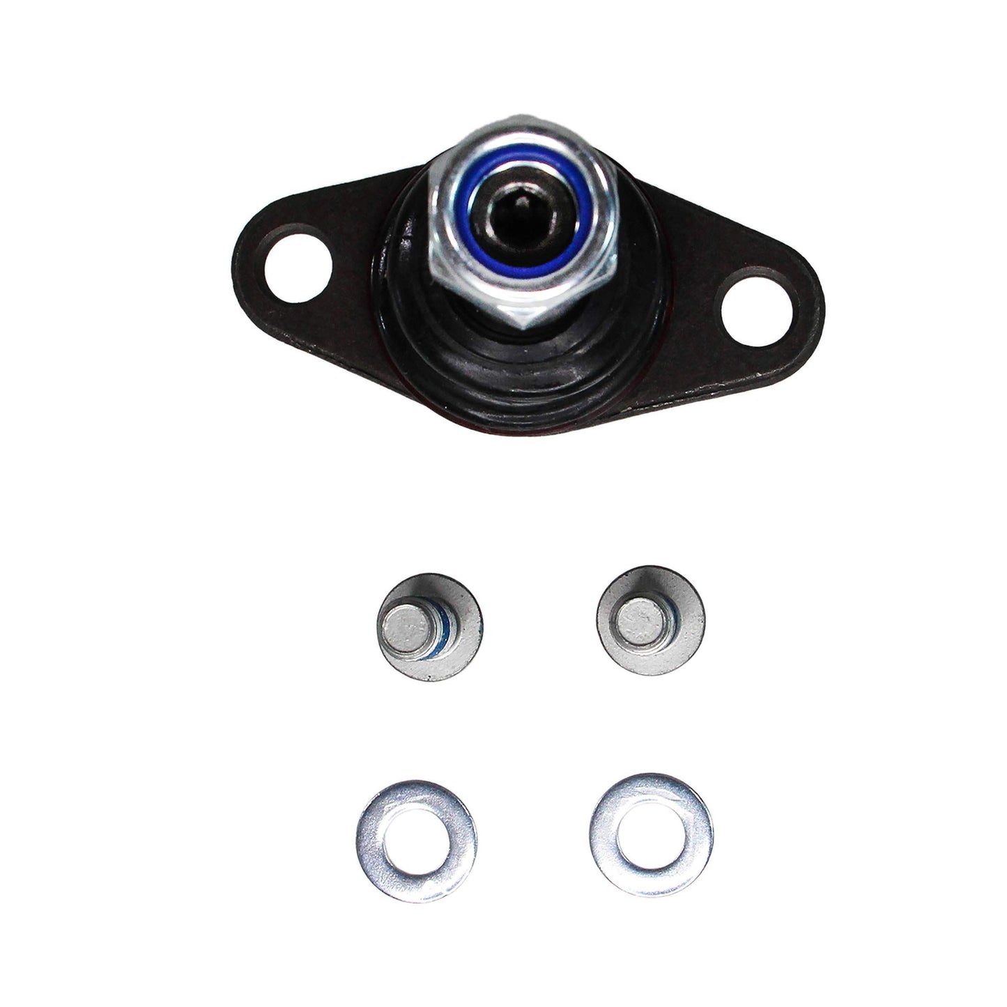 REIN SCB0097P