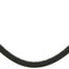 Raybestos BH383118 Brake Hydraulic Hose