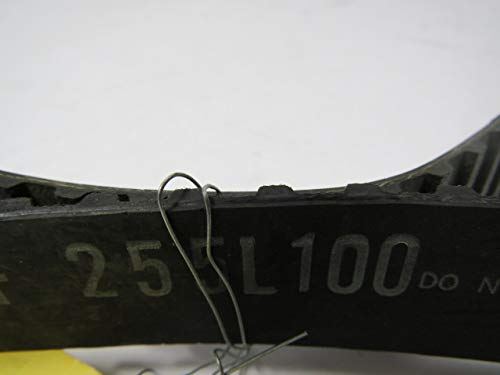 Dayco 255L100