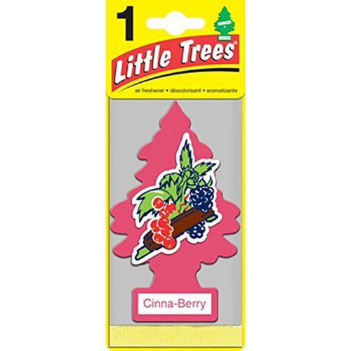 Car-Freshner U6P60318