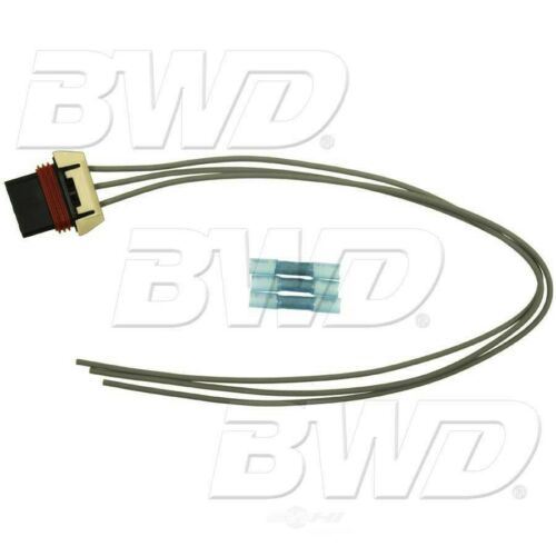 Conector del motor del limpiaparabrisas BWD PT631