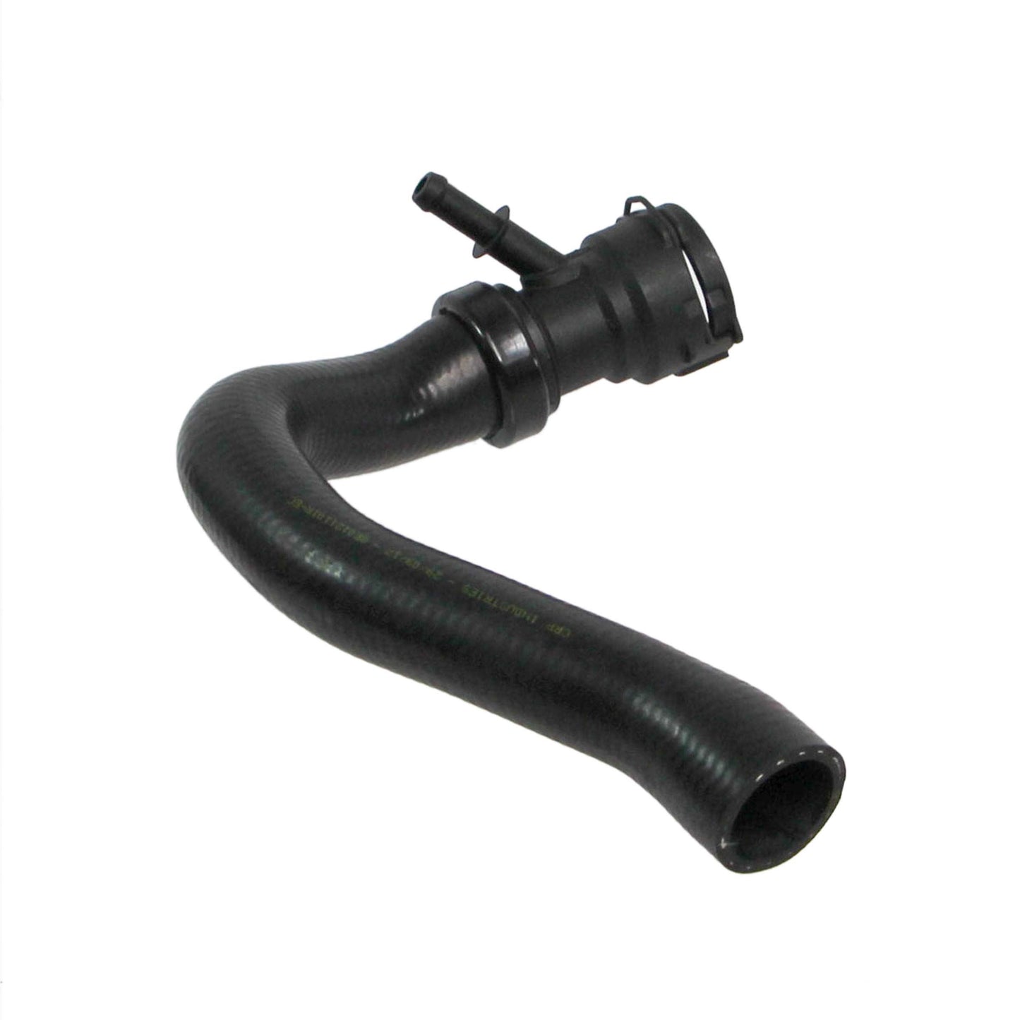 REIN CHR0397