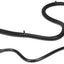 Dorman 911064