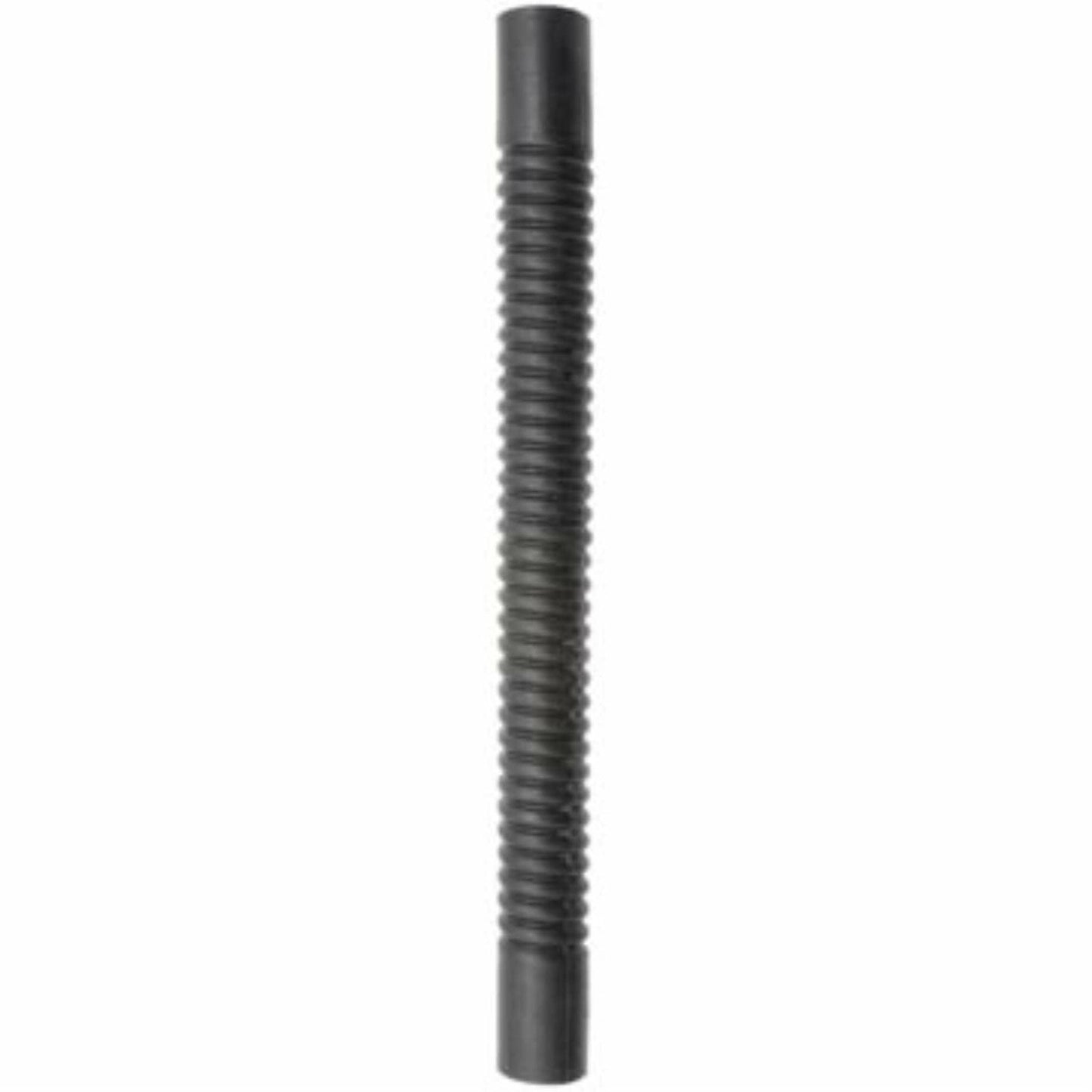 Dayco 81181