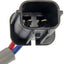 Dorman 751-297 Conjunto de regulador y motor de elevalunas eléctrico