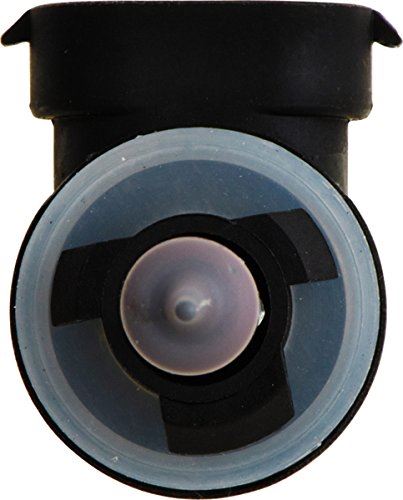 Bombilla para luz antiniebla Philips 896B1