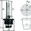 Hella H83075001 Headlight Bulb