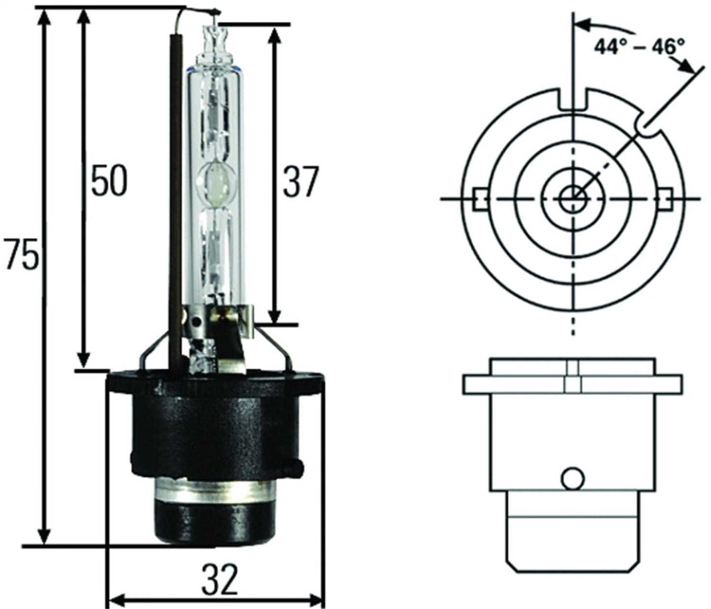 Hella H83075001 Headlight Bulb