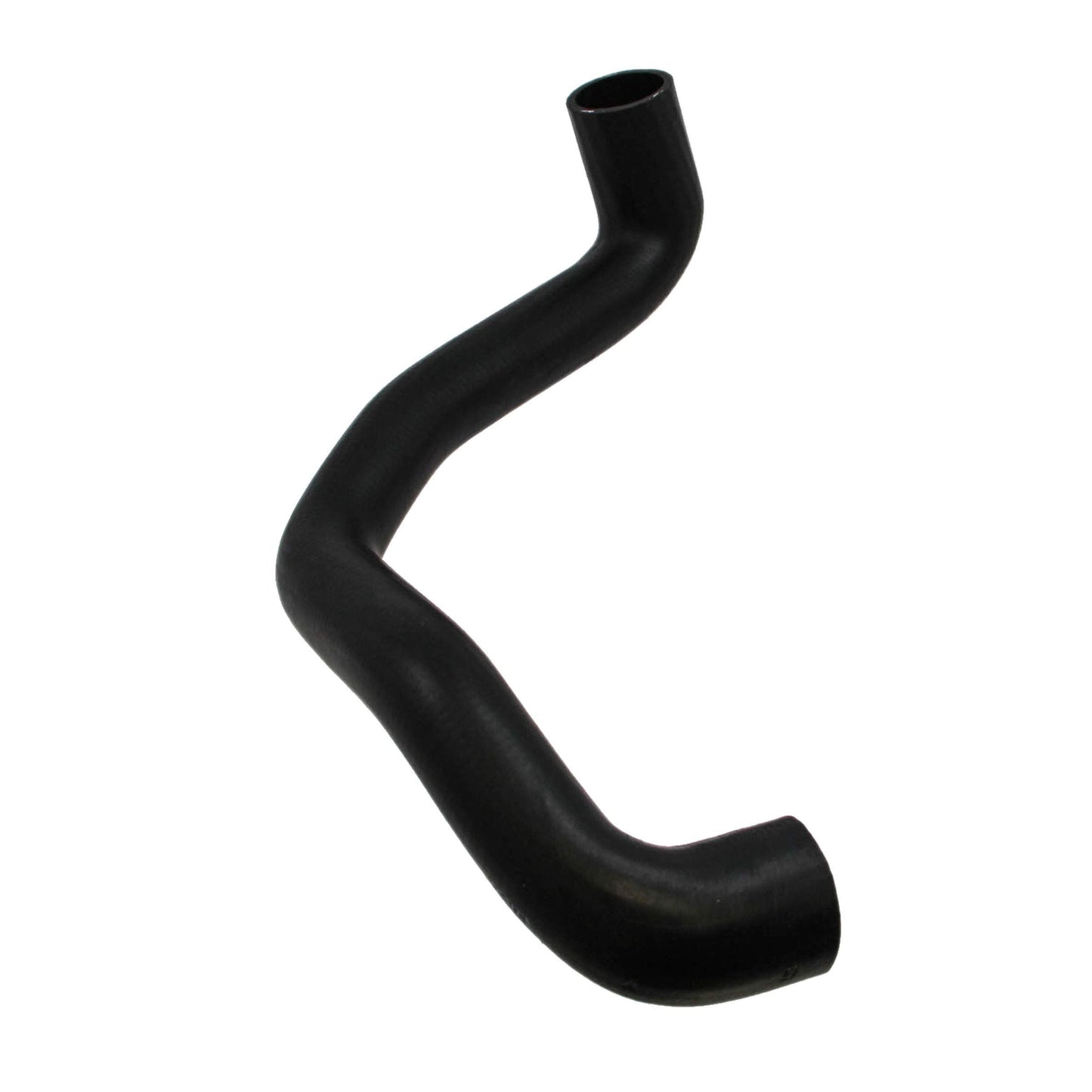 REIN CHR0433