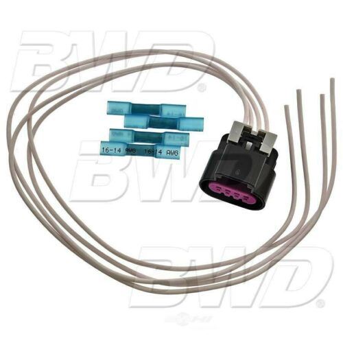 BWD PT5951 Body Wiring Harness Connector