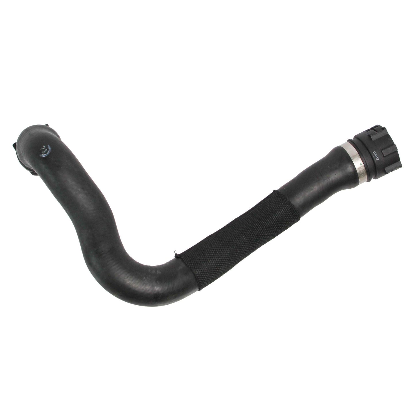 REIN CHR0008P