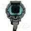 BWD ABS748 Sensor de velocidad de rueda ABS