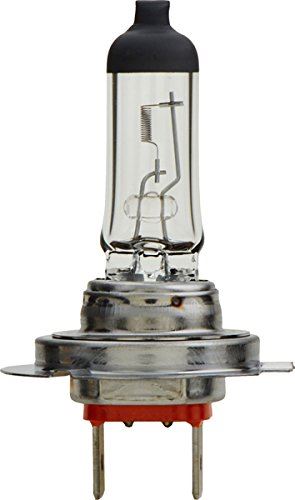 Bombilla para faros delanteros Philips H7B1