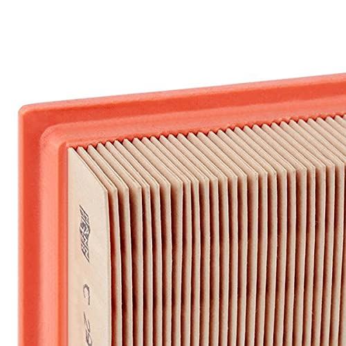MANN-FILTER C 29 126/2 Filtre à air