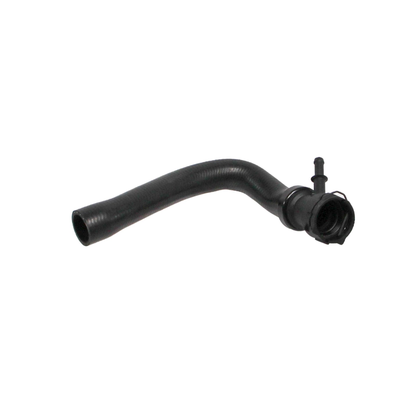 REIN CHR0397