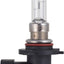 Bombilla para faros delanteros Philips 9005PRB1