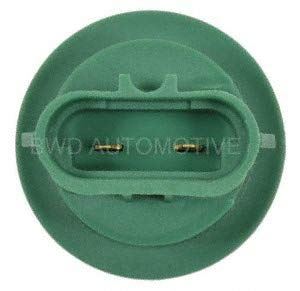BWD PT5741 Back Up Light Socket