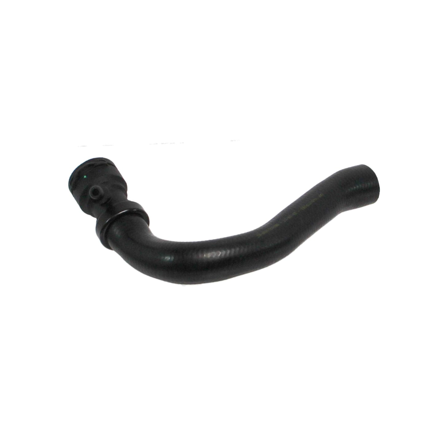 REIN CHR0397