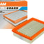FRAM CA3559