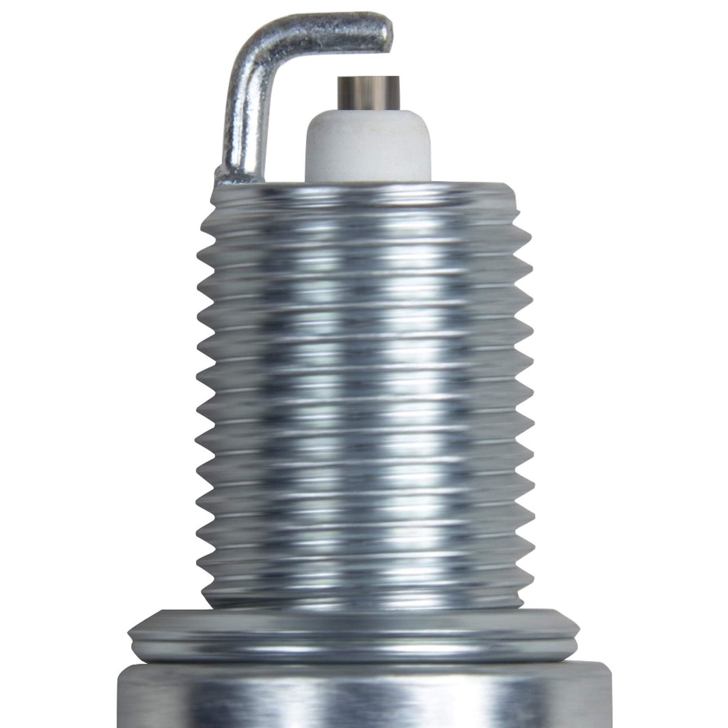 Champion 404 (Pack of 4)