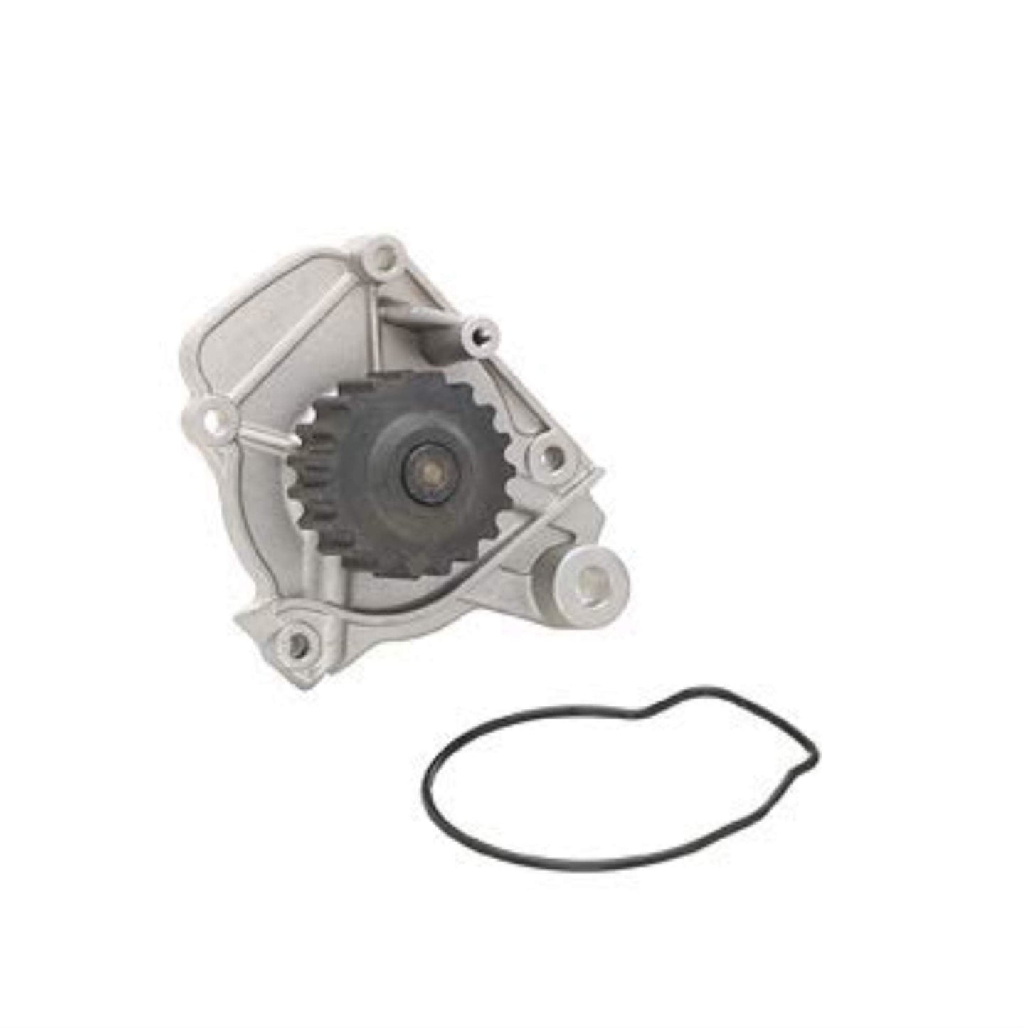 Dayco DP056